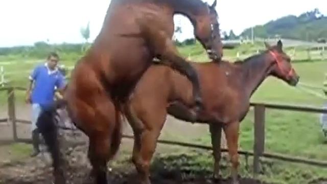 Вот это мужык!. смотреть онлайн