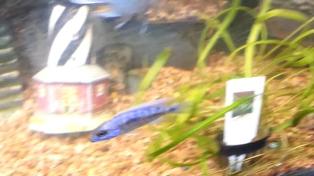New 143 gallon fish tank смотреть онлайн