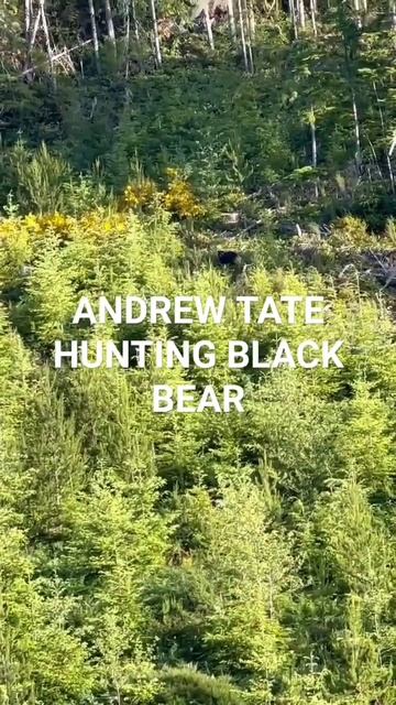 Andrew Tate hunting black bear смотреть онлайн