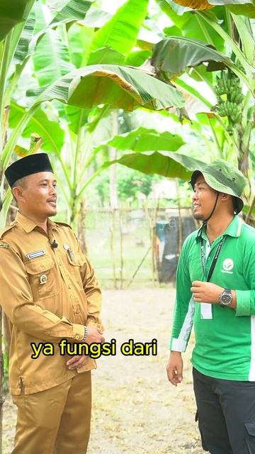 Tak Takut Kekeringan Pohon Barangan dengan Kolam Ikan #Shorts смотреть онлайн