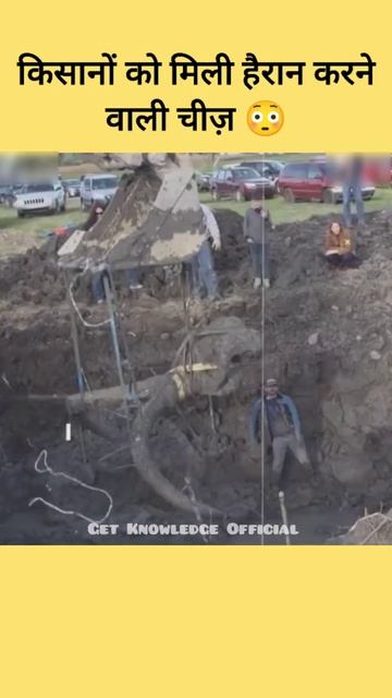 पुरी दुनिया हैं हैरान इस विशाल ख़ोज से | 15,000 Old Mammoth Skull Discovered | #shorts смотреть онлайн