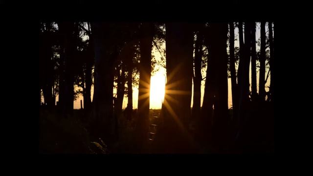 Coalescer - The Way Out смотреть онлайн