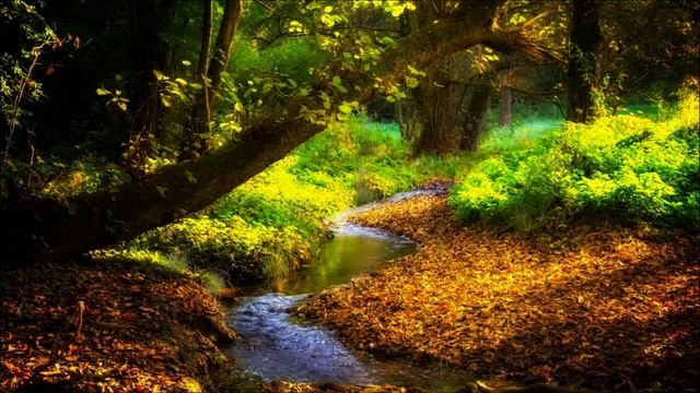 The Sounds Of A Stream and The Singing Of Forest Birds For Deep Sleep, Meditation And Stress Relief смотреть онлайн