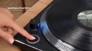 Виниловый проигрыватель Alive Audio Twister