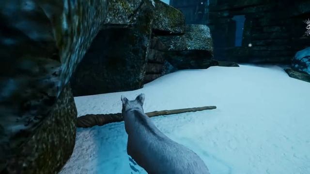 Spirit Of The North. Прохождение #5