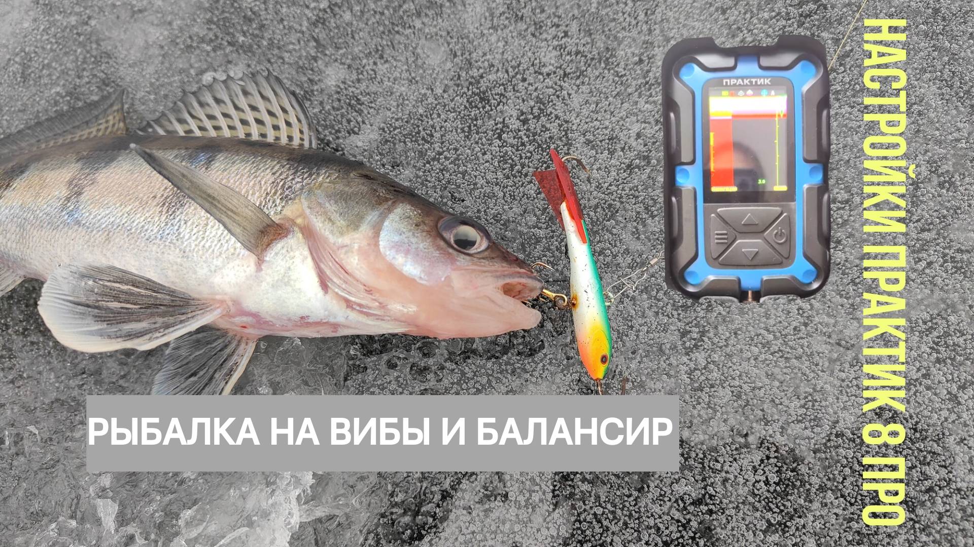 МОИ НАСТРОЙКИ ПРАКТИК 8 ПРО ДЛЯ ПОИСКА СУДАКА. РЫБАЛКА НА ВИБЫ И БАЛАНСИР смотреть онлайн