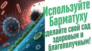 Естественное плодородие земли.