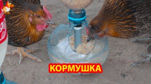 Кормушка курам на улицу с защитой от диких птиц 💦🐓❣️
