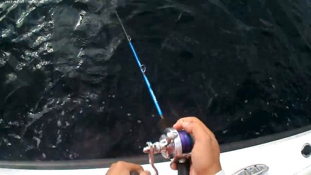 Good Size Barracuda on Slow Jigging смотреть онлайн