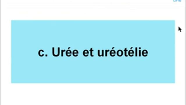 Chapitre 3-3 Relation entre l’excrétion azotée des animaux et leur équilibre hydrique смотреть онлайн
