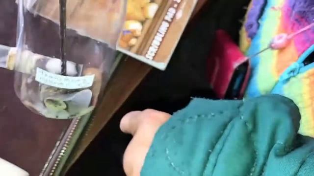 Temnothorax Nylanderi escape from nest and move into notebook!!! смотреть онлайн