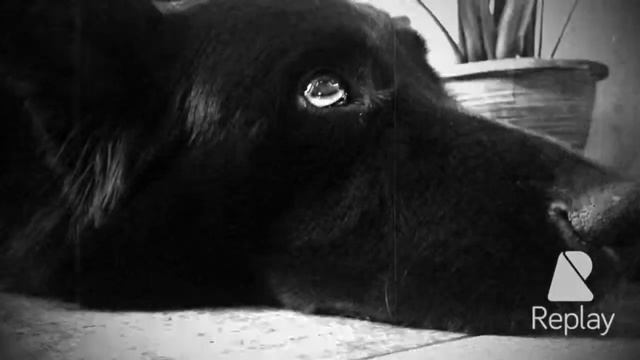 2014 смотреть онлайн