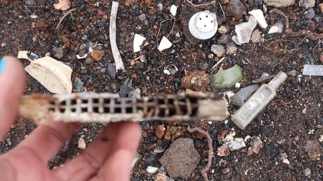 The Trees Are All GONE! What Was Revealed? MASSIVE Bottle Dump Haul! смотреть онлайн