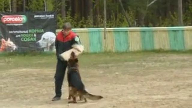 Остен Штерн Палермо, в/н, 2 СС фактор, Томск 2014 смотреть онлайн