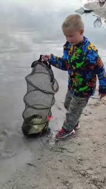 Карп чистенький, навеска 👍 Приезжайте на РК «Чайка» ловите и получайте удовольствие. смотреть онлайн