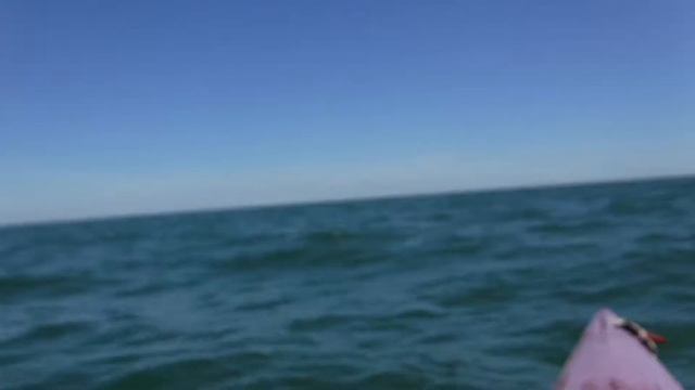 8 6 2017 DOLPHIN ADVENTURE TOUR SUN 11 30 AM 1 +++ смотреть онлайн