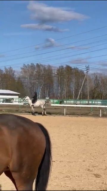 123 уже давным давно было а перехода не было🤣 смотреть онлайн