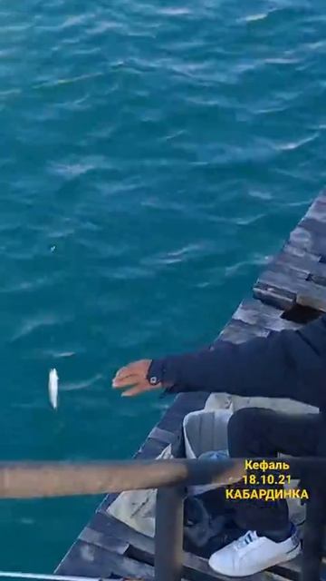 Кабардинка 17.10.21 плюс 20 погода шикарная смотреть онлайн