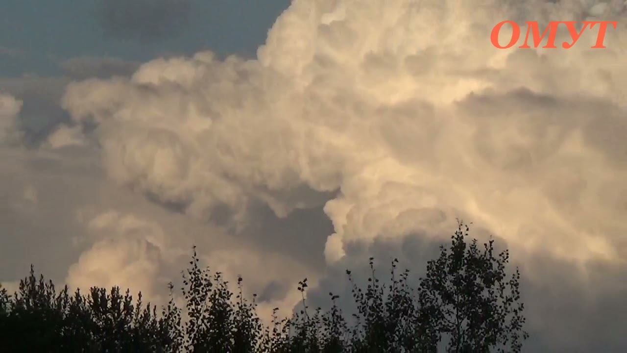 354. КАК ВСЕГДА ИНТЕРЕСНОЕ И НУЖНОЕ... смотреть онлайн