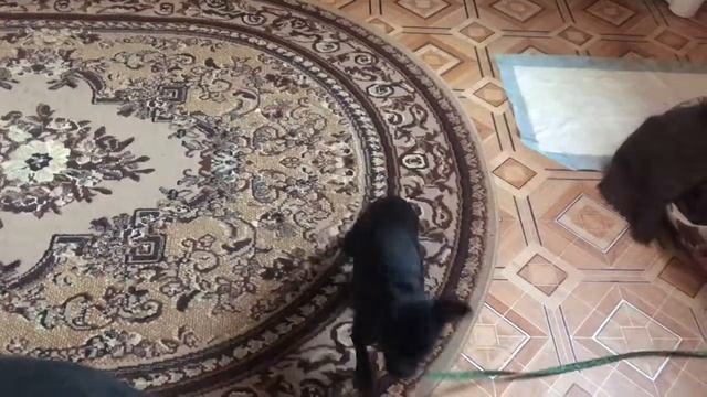 May 8, 2017 смотреть онлайн