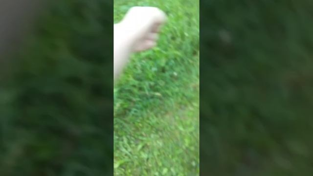 я на улице и улитка 🐌 смотреть онлайн