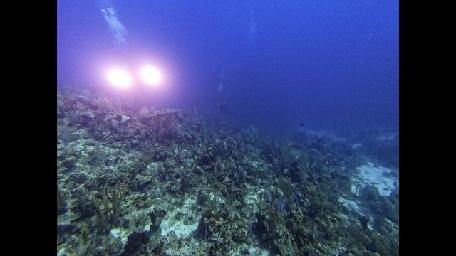 Grand Cayman 2022 смотреть онлайн