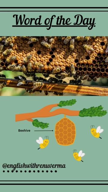 Beehive | What is Beehive| Meaning of Beehive| What is the home of Bees' called| Vocabulary Shorts| смотреть онлайн
