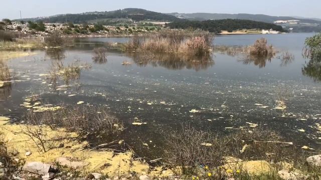 Alabalık avı смотреть онлайн