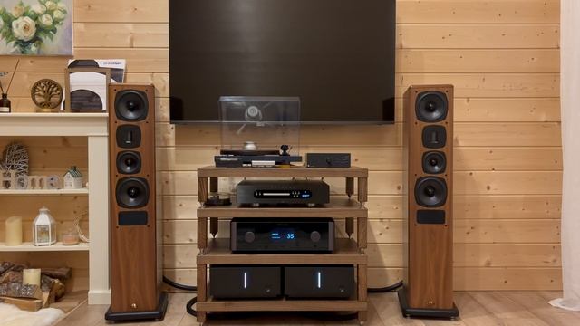 Как звучат кабели: Purist Audio Design Musaeus BiWire Diamond Revision 2.0m ban-ban смотреть онлайн