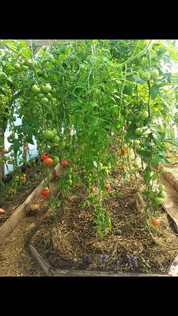 1000018748.mp4 смотреть онлайн