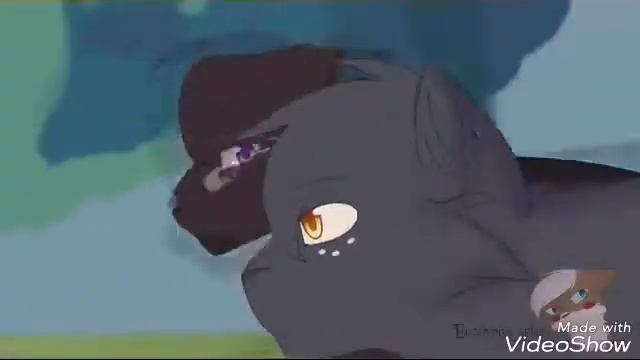 Коты Воители клип [ Cats Warriors ] смотреть онлайн
