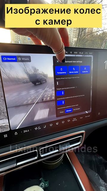 Изображение колес с камер в #lixiang