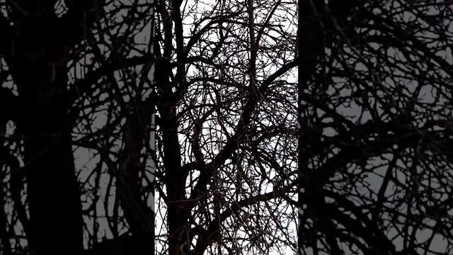 1 апреля 2024 г. смотреть онлайн