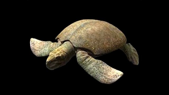 Sea Monsters Soundtrack: The Archelon