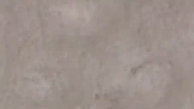 New Black Speck Triangle Sparkling Morgs Jumping Evading Touch from Stimulus смотреть онлайн