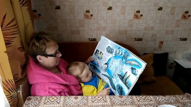 Юный натуралист смотреть онлайн