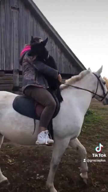 Мышка может всё!!! смотреть онлайн