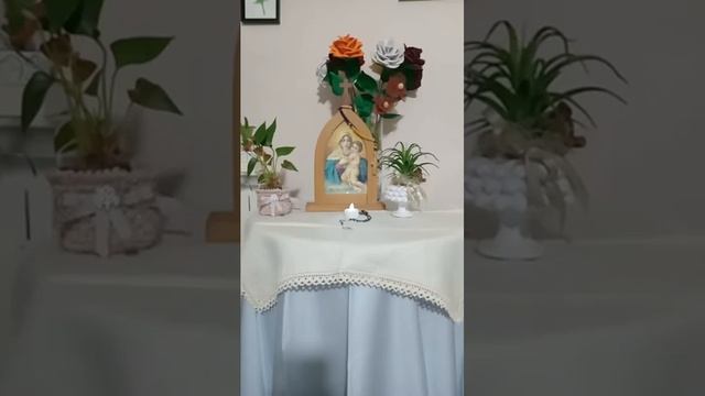 Novena per l'Assunzione della Beata Vergine Maria, 2° giorno - 07/08/2024 смотреть онлайн