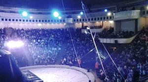 Каскадёры на мотоциклах в цирке