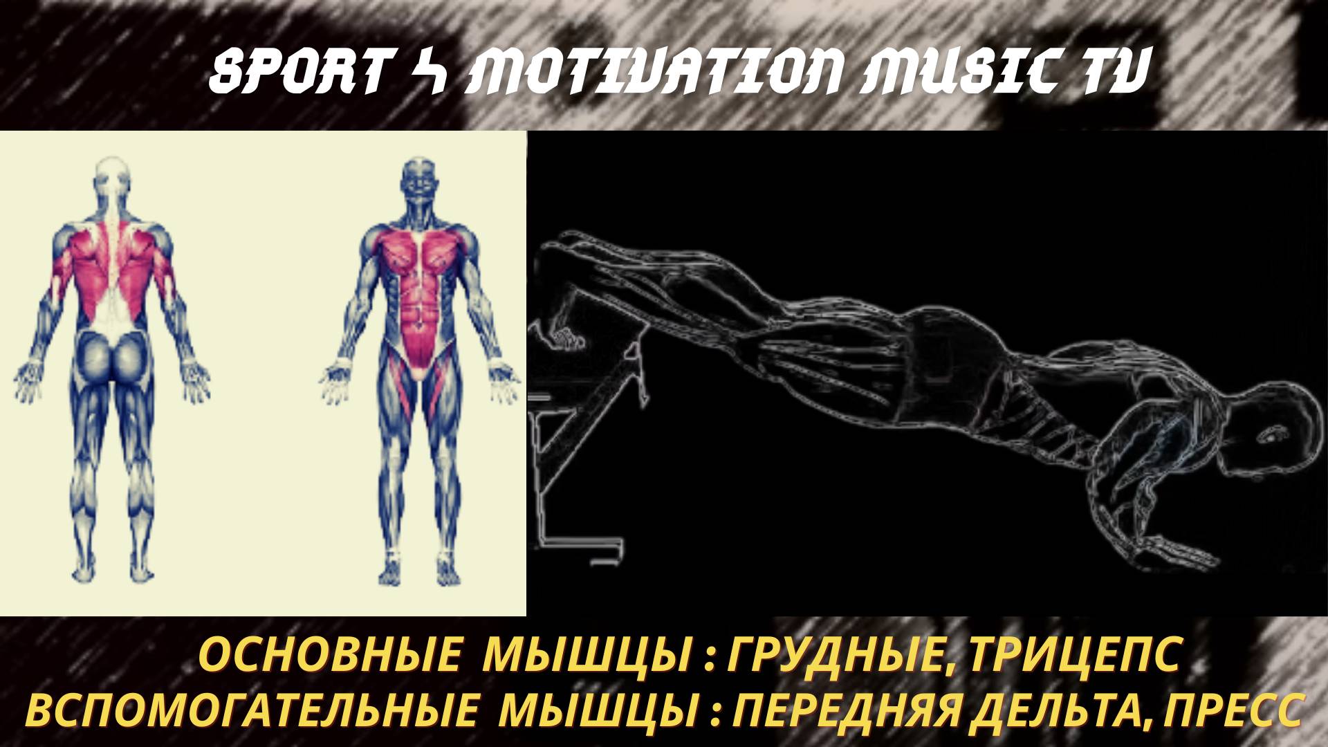 Отжимания с ногами на возвышенности. Отжимания на грудь смотреть онлайн