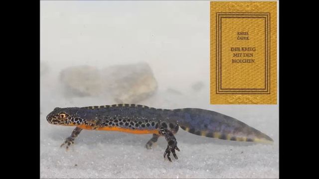 Karel Čapek - Der Krieg mit den Molchen - 10 (Kirchweih in Neu Straschitz) смотреть онлайн