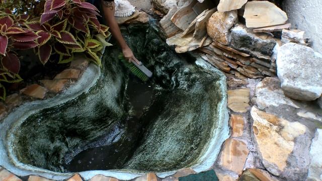 Secretos para crear un estanque de Carpas Koi смотреть онлайн