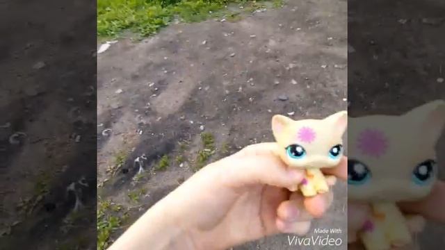 Голубиный влог^^🐦 #1 смотреть онлайн