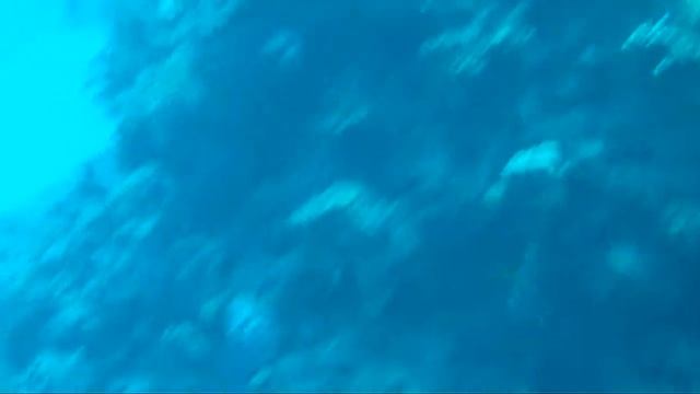 Titan Trigger.MOV смотреть онлайн