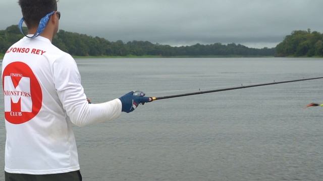ARAPAIMA GIGAS LAND CHASING ARAPAIMAS смотреть онлайн