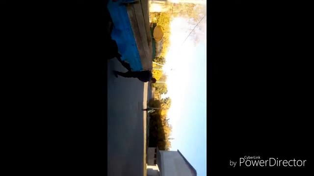 Panda ,ми бежим как от гепарда смотреть онлайн