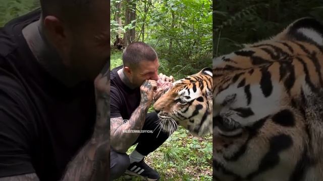ALEX TERRIBLE || High Adrenaline Moment With Mihail Tiger