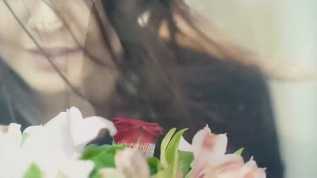 Шахзода шунчаки смотреть онлайн