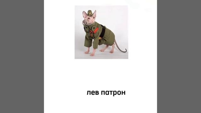 виды Львов смотреть онлайн