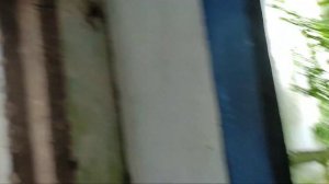 азан в [ заброшке ] встретил | 😱